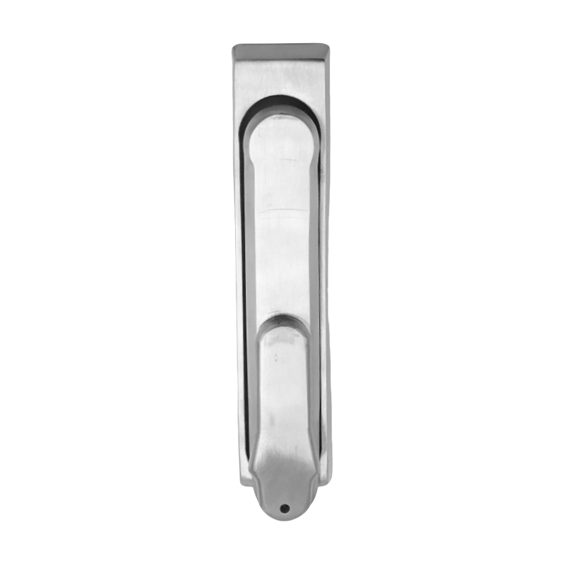 Stainless steel swinghandle FY1810-0101-SFZ