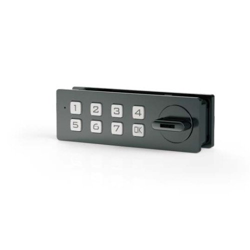 Electronic code cam lock with manual buttons FY1609-00K0